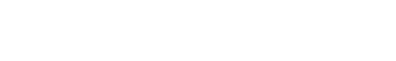 screenRIG wordmark in white