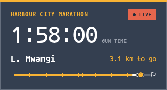Race tracker