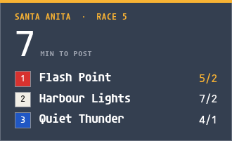 Racing board